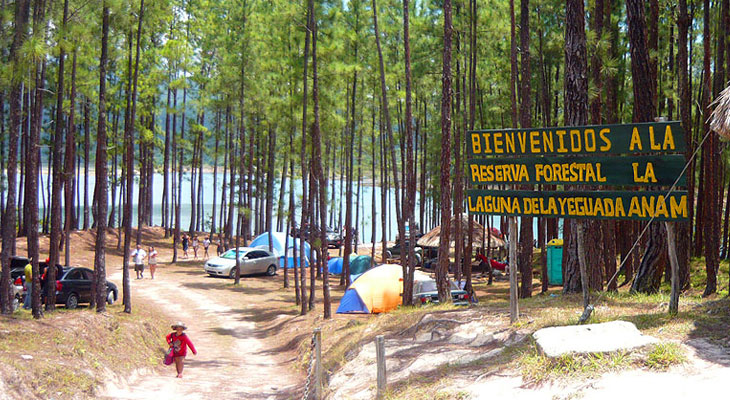Imagen de parada
